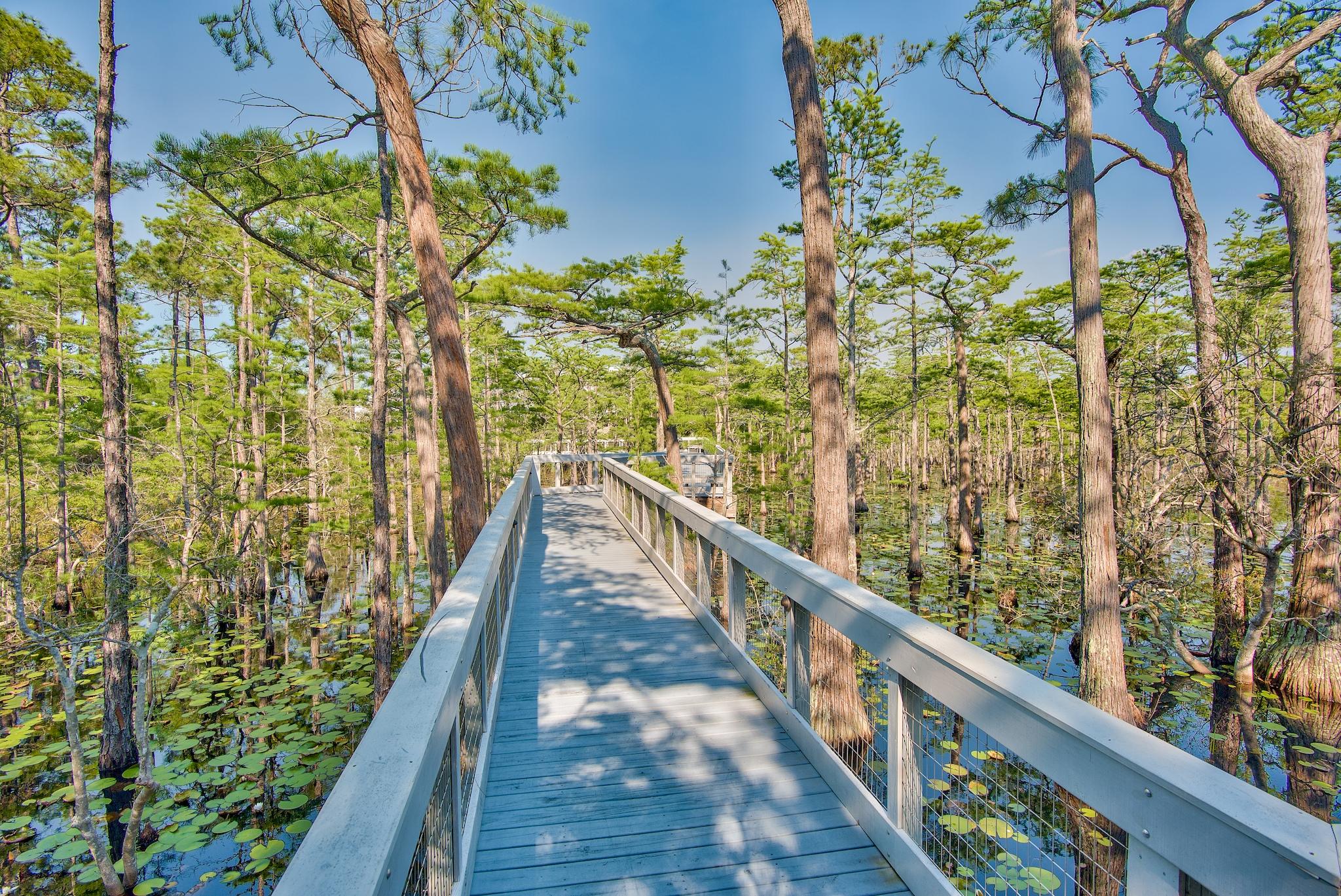 Lot 26 Cypress Ridge Santa Rosa Beach, FL 32459 - Photo 10 of 58 Boardwalk from Phase 1 to Phase 2