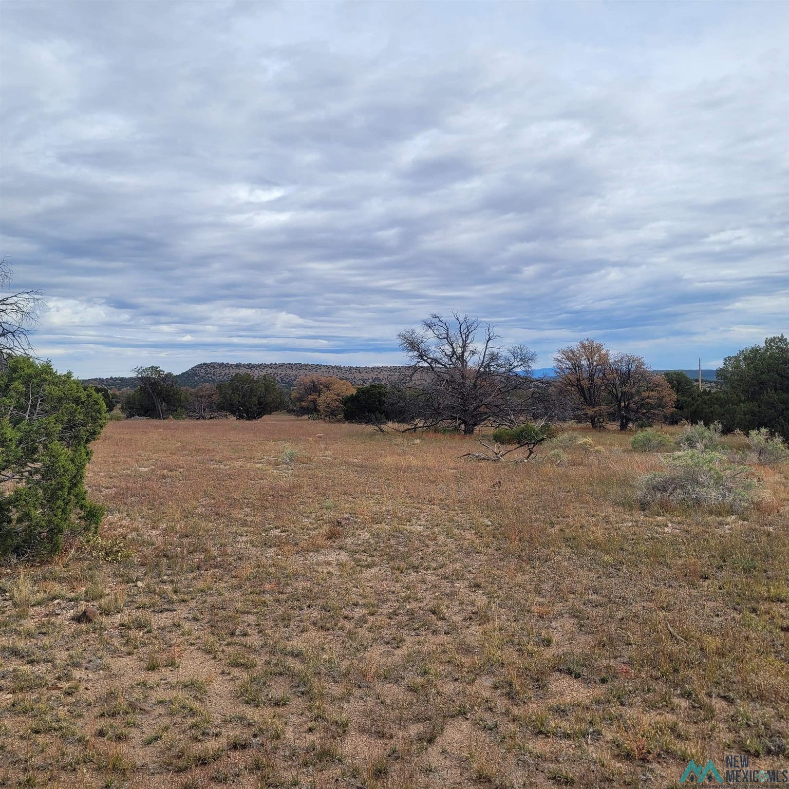 15 Elk Court Datil, NM 87821 - Photo 17 of 17 Gallery Image 17