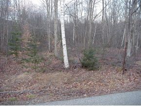 28 River Road Waterville Valley, NH 03215 - Photo 2 of 12