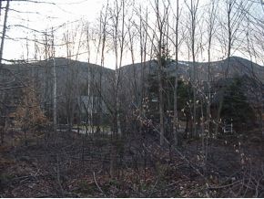 28 River Road Waterville Valley, NH 03215 - Photo 3 of 12