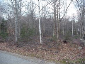 28 River Road Waterville Valley, NH 03215 - Photo 4 of 12