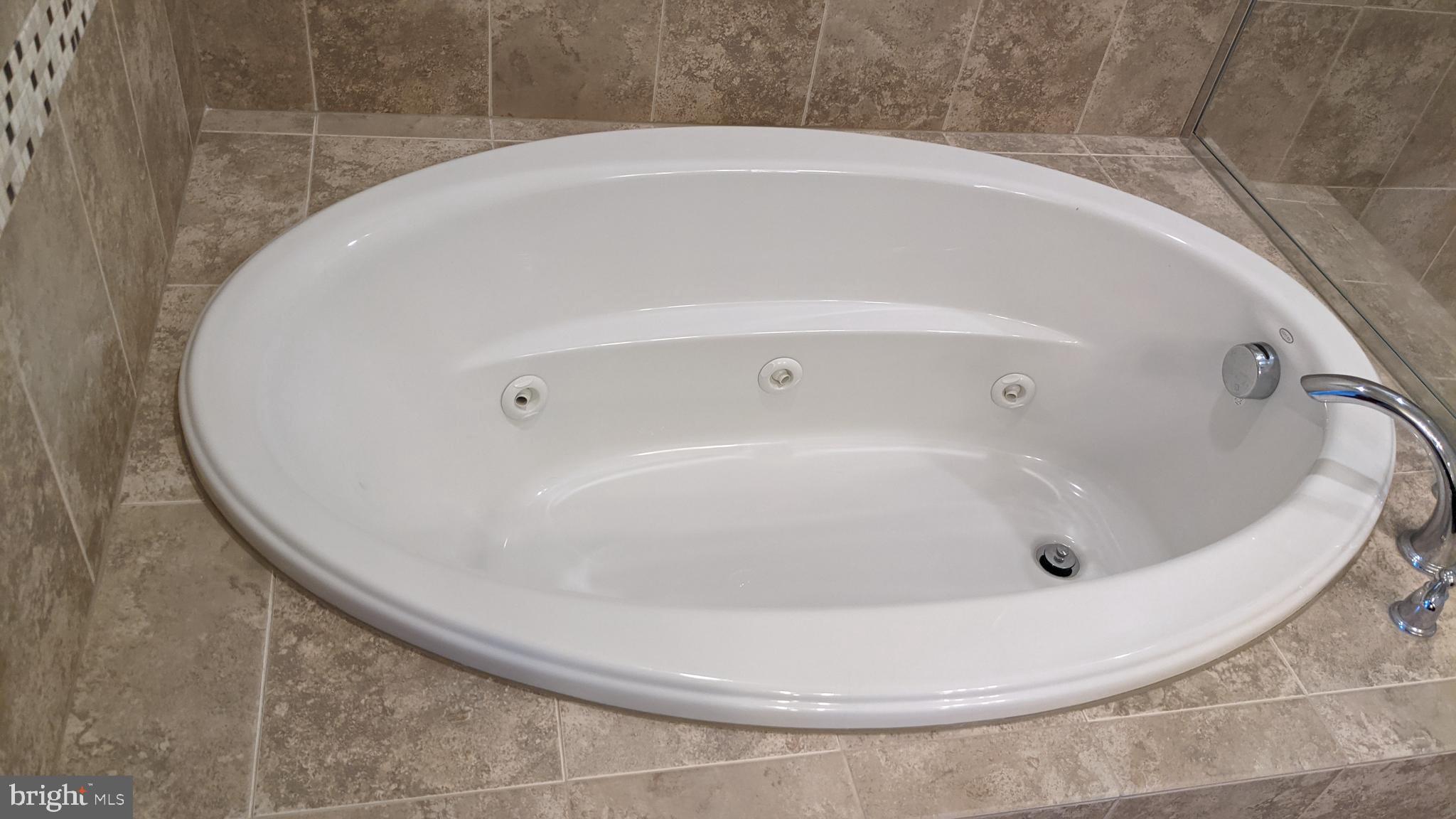 20620 Hope Spring Terrace, Unit 403 Ashburn, VA 20147 - Photo 38 of 43 Jacuzzi tub in the master bathroom