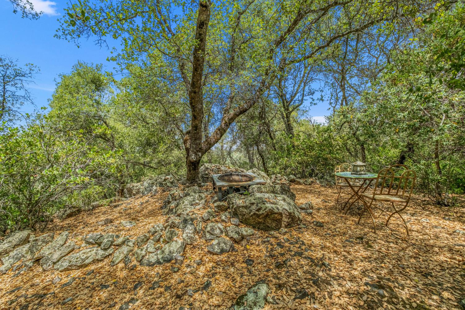 2211 Terrace View Court Cool, CA 95614 - Photo 91 of 99