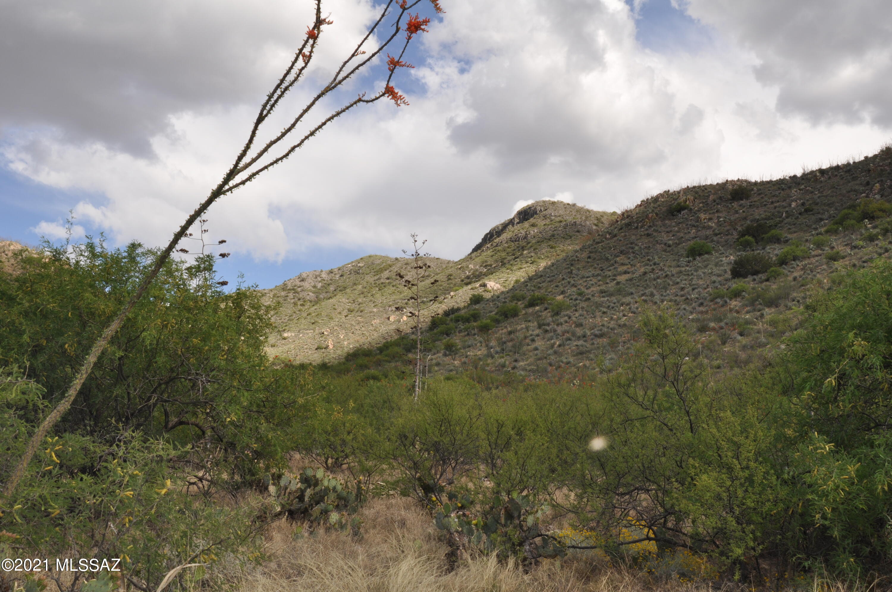 16145 East Hilton Ranch Road Vail, AZ 85641 - Photo 9 of 11