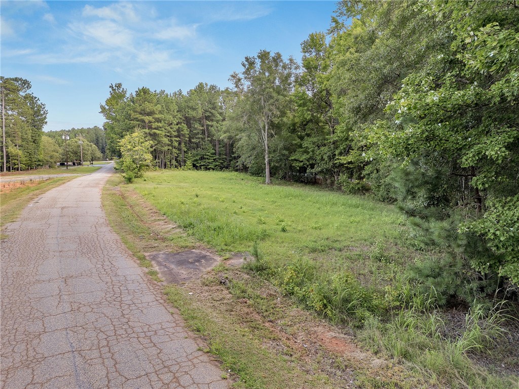 Lot 4 Bluebird Lane Anderson, SC 29621 - Photo 18 of 27