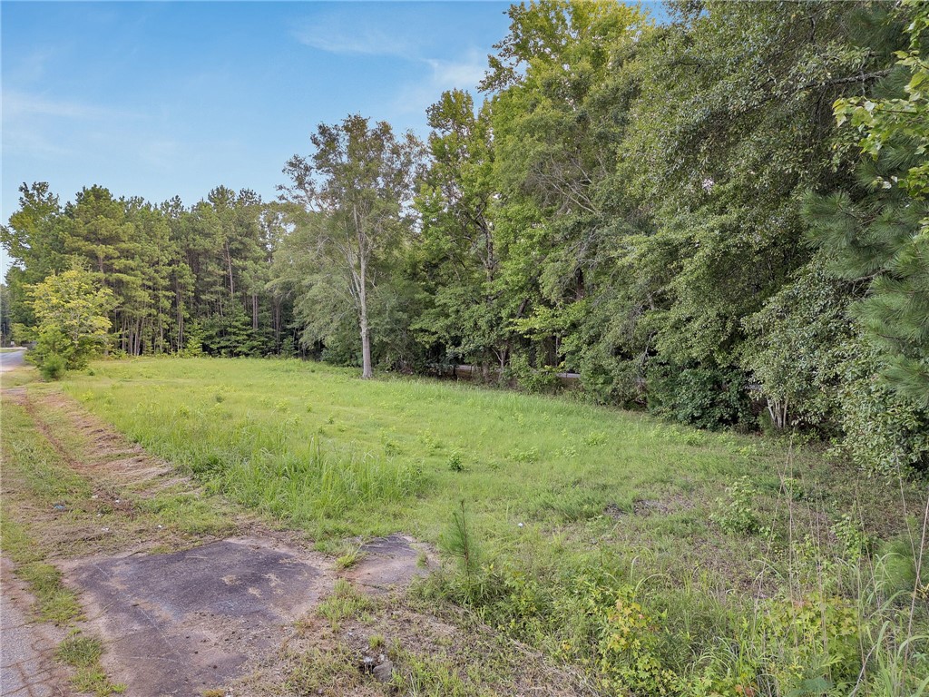 Lot 4 Bluebird Lane Anderson, SC 29621 - Photo 20 of 27