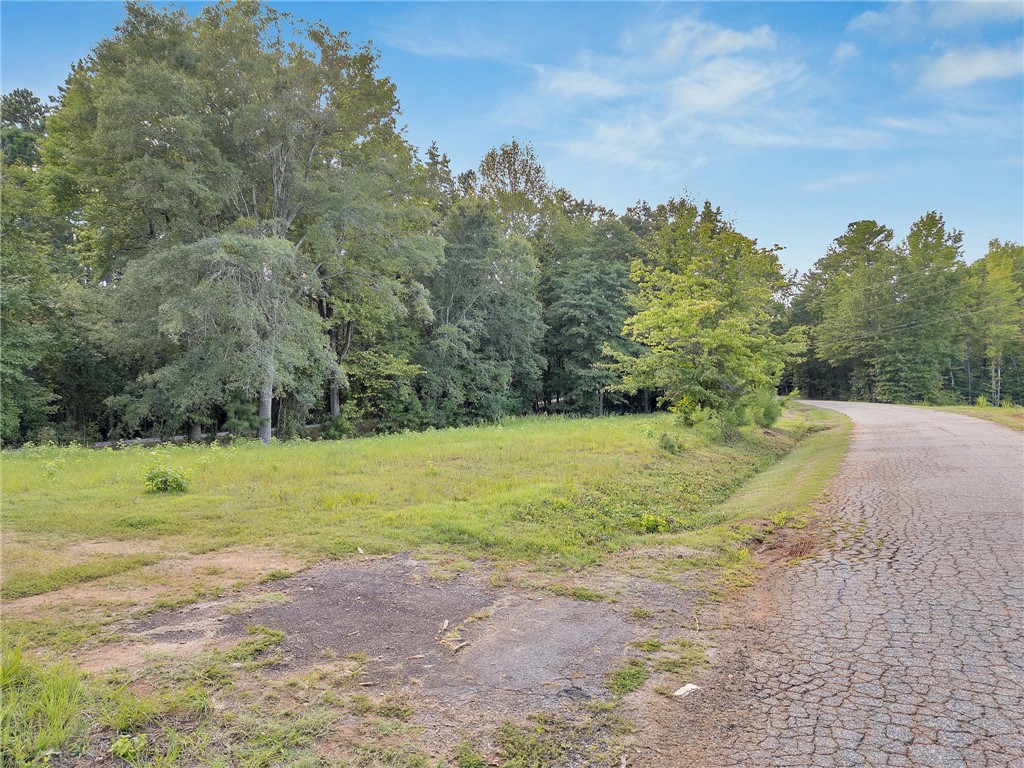 Lot 4 Bluebird Lane Anderson, SC 29621 - Photo 21 of 27