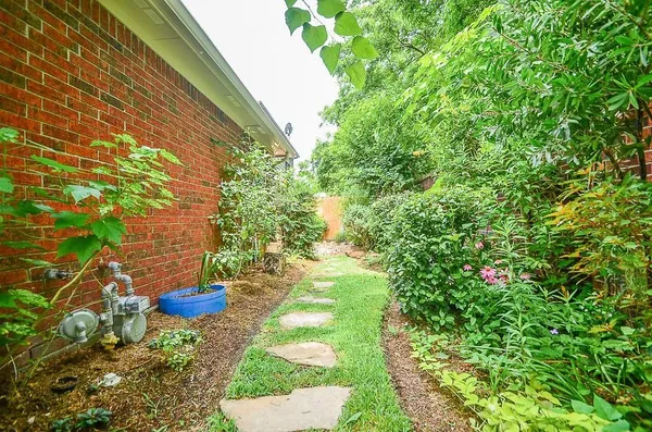a view of a yard with plants and large trees