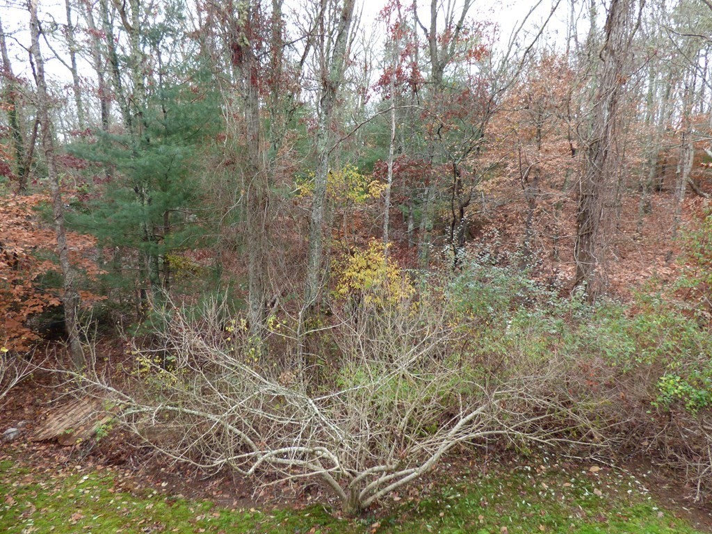78 Two Ponds Road Falmouth, MA 02540 - Photo 14 of 20 Gallery Image 14