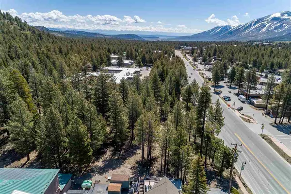 a view of a city with lots of trees