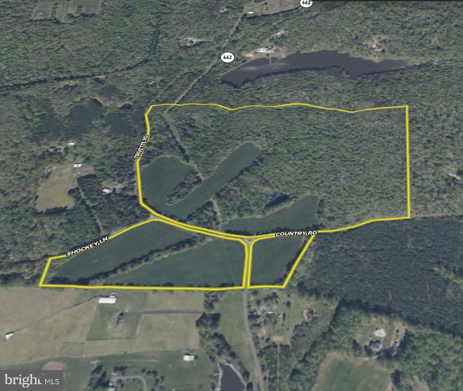 0 Trivette Road Beaverdam, VA 23015 - Photo 42 of 45