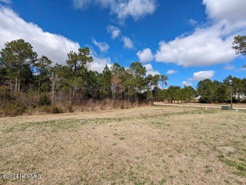 248 Kings Creek Crossing Holly Ridge, NC 28445 - Photo 16 of 27 image0000 (7)
