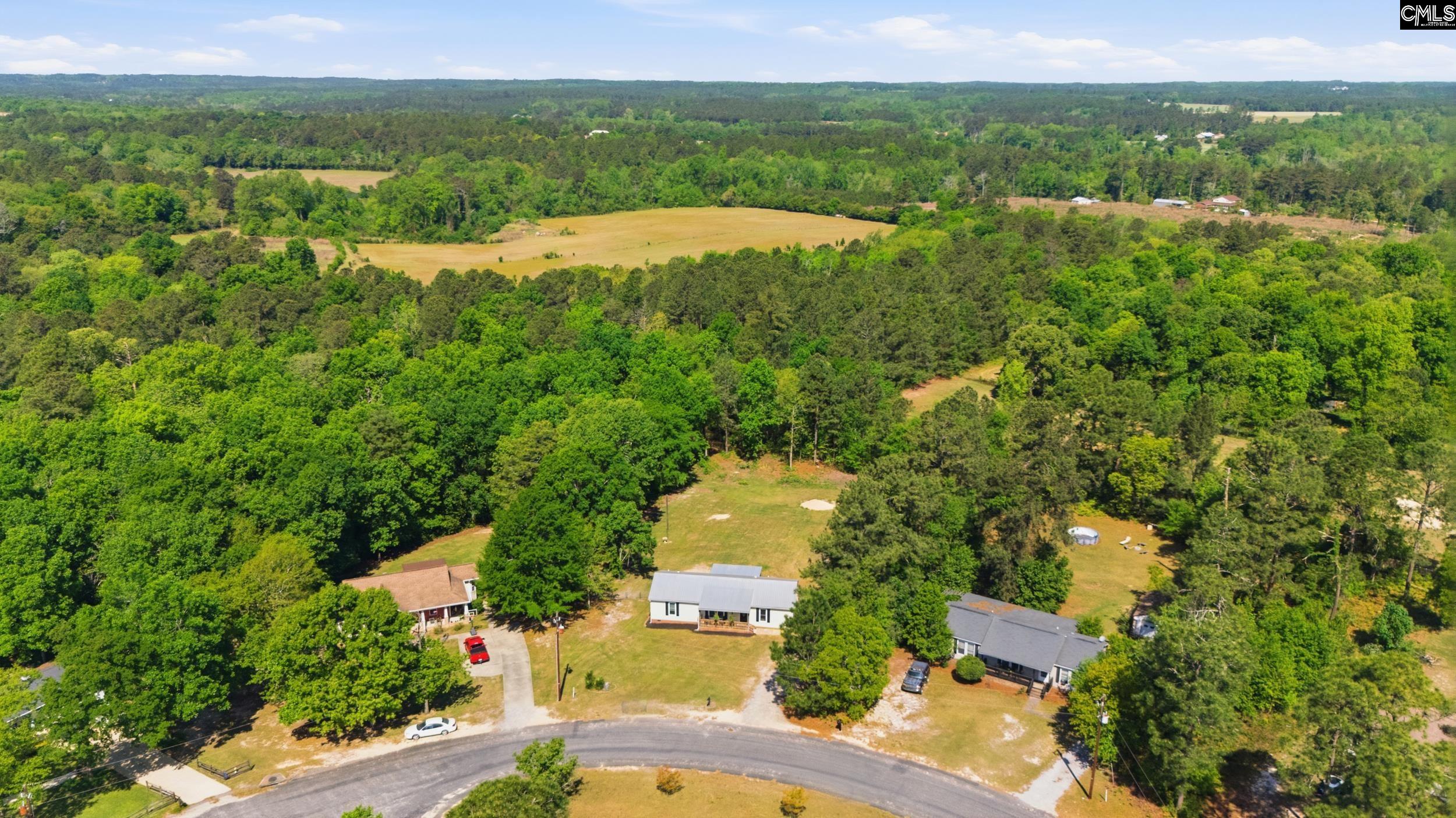236 Drawdebil Court Gilbert, SC 29054 - Photo 33 of 34