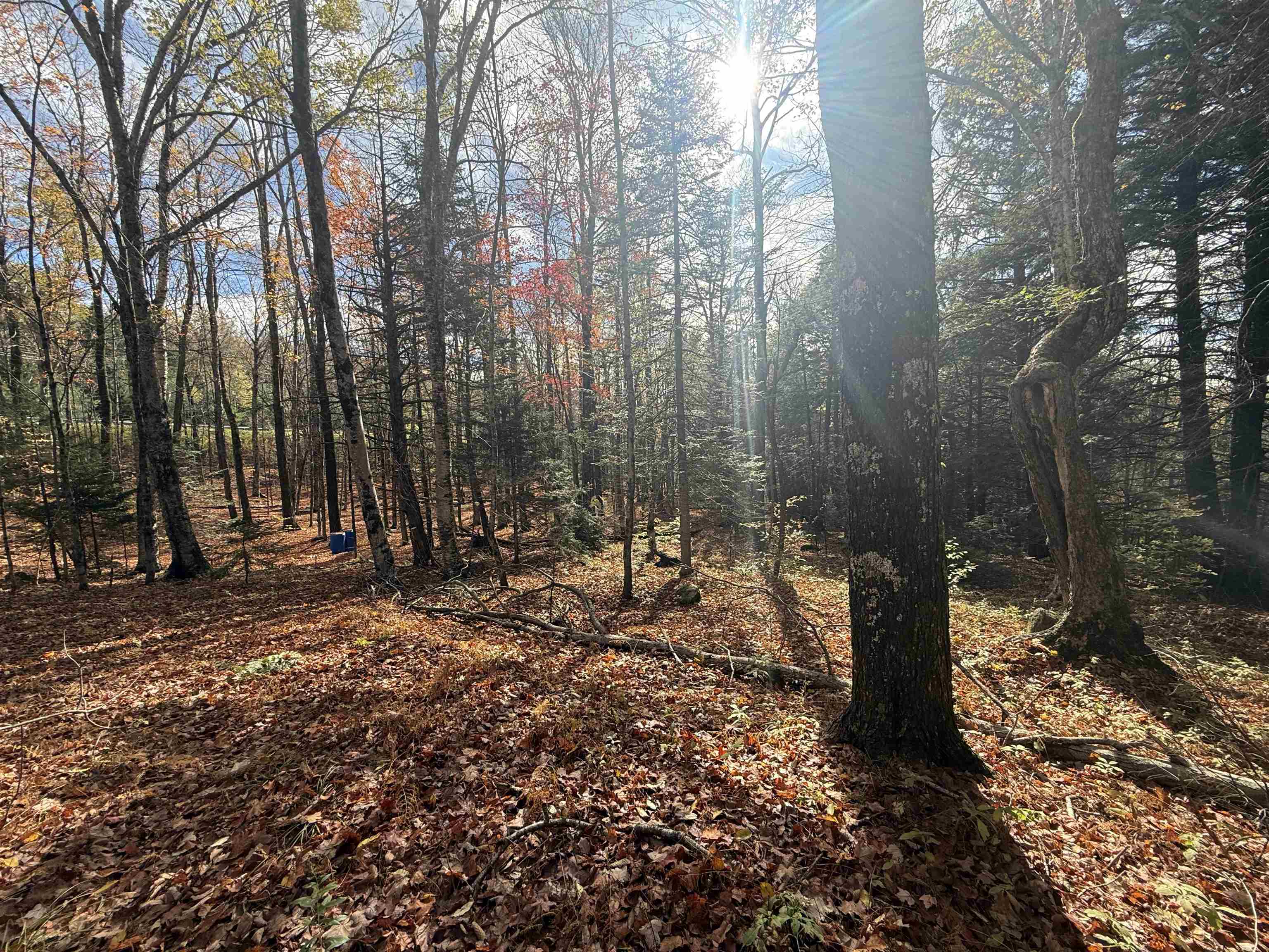 9 Sun And Ski Road Wilmington, VT 05363 - Photo 3 of 6