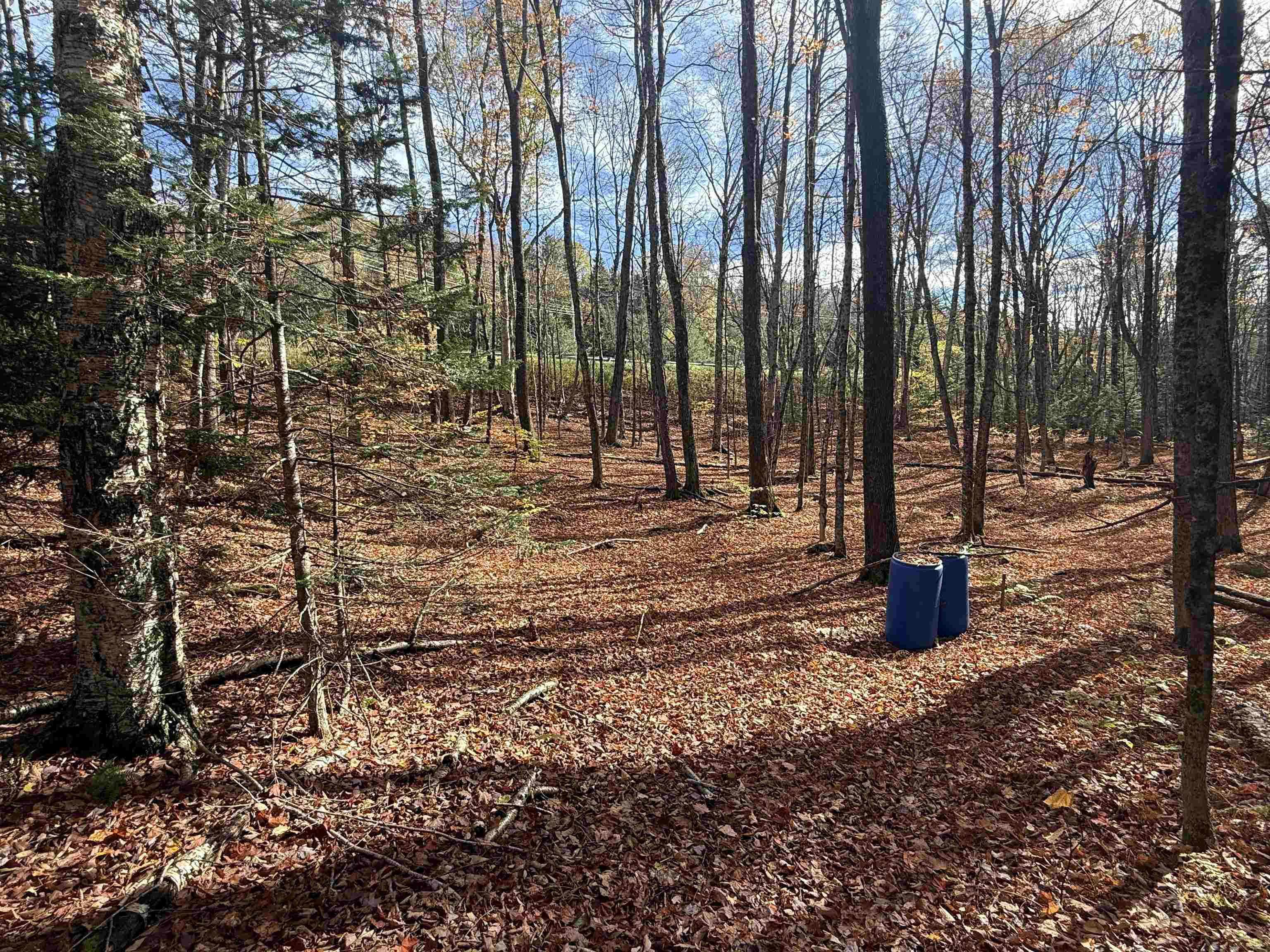 9 Sun And Ski Road Wilmington, VT 05363 - Photo 5 of 6