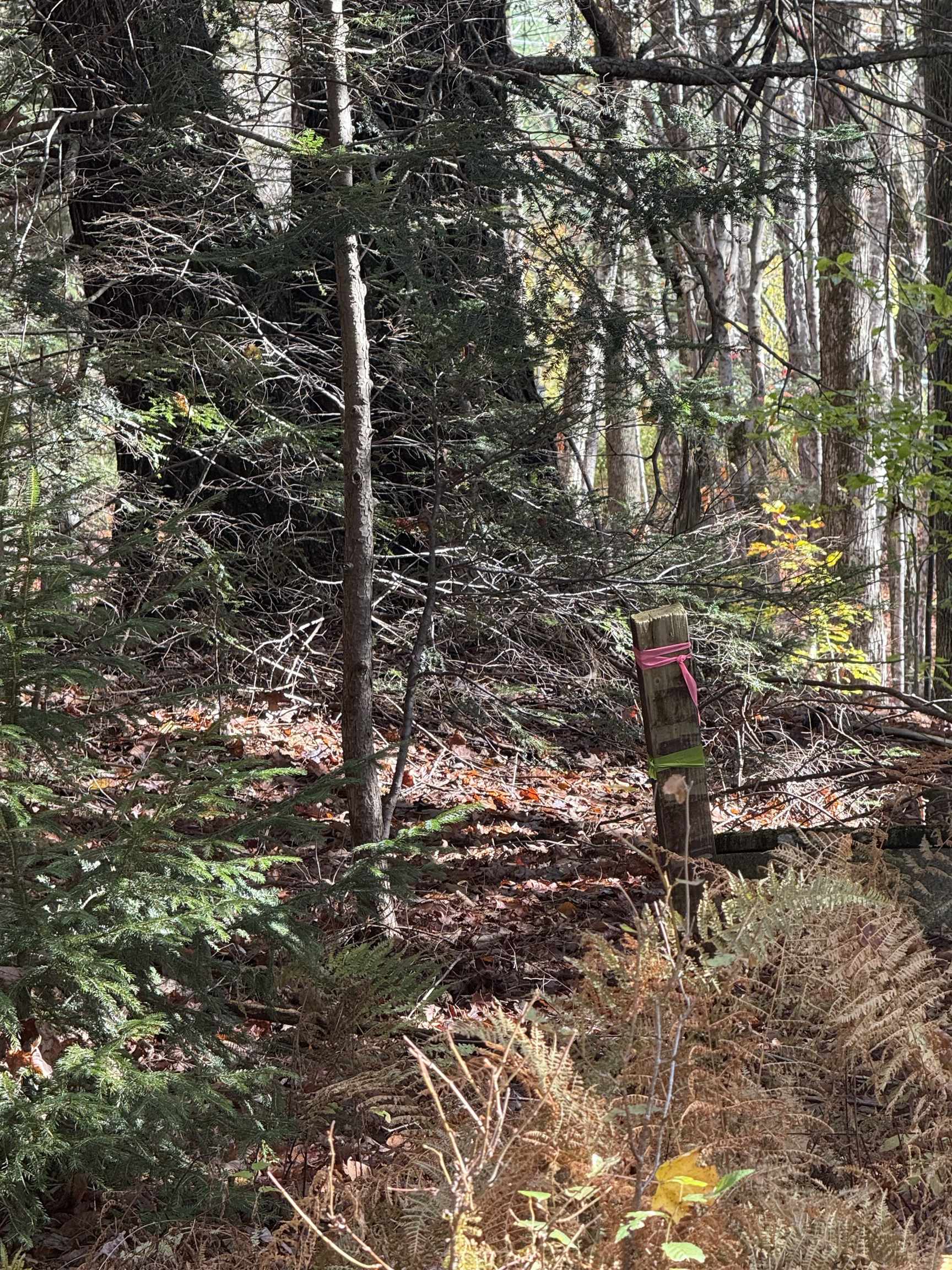 9 Sun And Ski Road Wilmington, VT 05363 - Photo 6 of 6