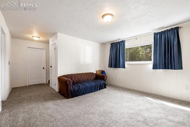 4835 Cheerful Road Colorado Springs, CO 80917 - Photo 18 of 30