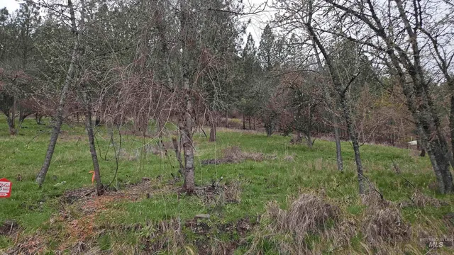 $41,000 | 56 Peck Id 83545, Peck, ID 83545