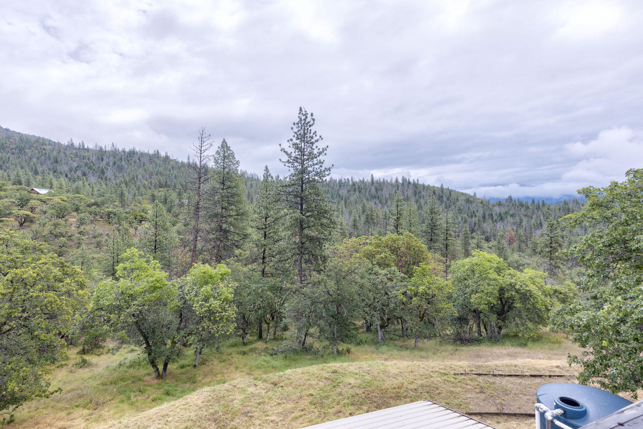 9595 Sterling Creek Road Jacksonville, OR 97530 - Photo 58 of 76 a view of a city with lush green forest