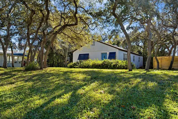 a view of a backyard with plants and a large tree