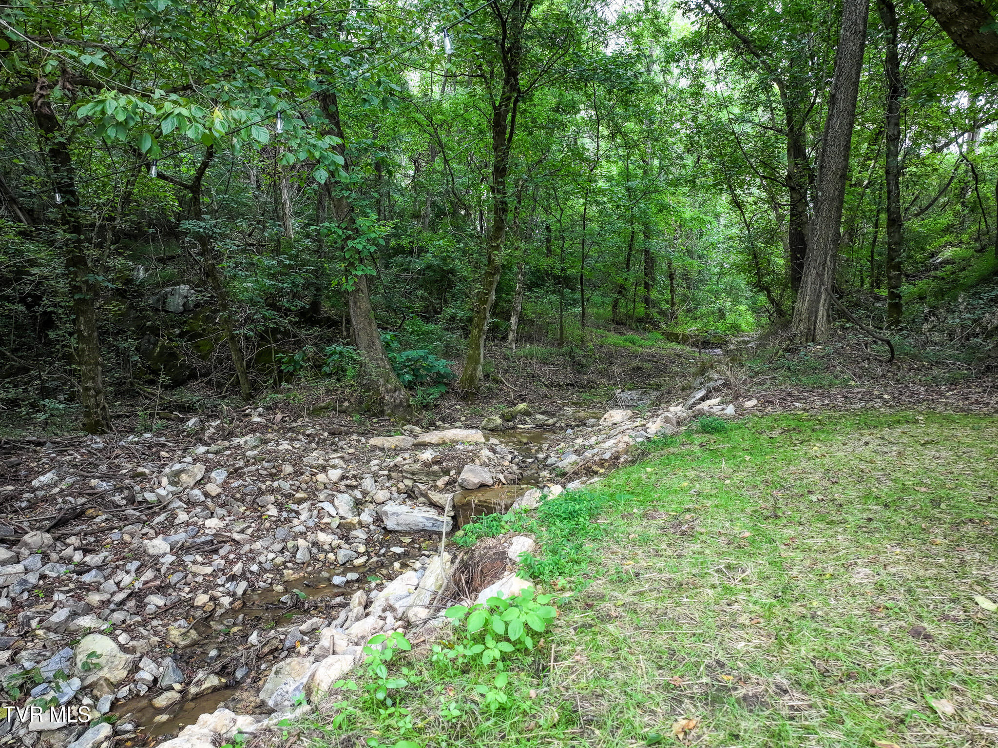 40 Bales Road Mosheim, TN 37818 - Photo 19 of 62 DJI_20250804185308_0426_D