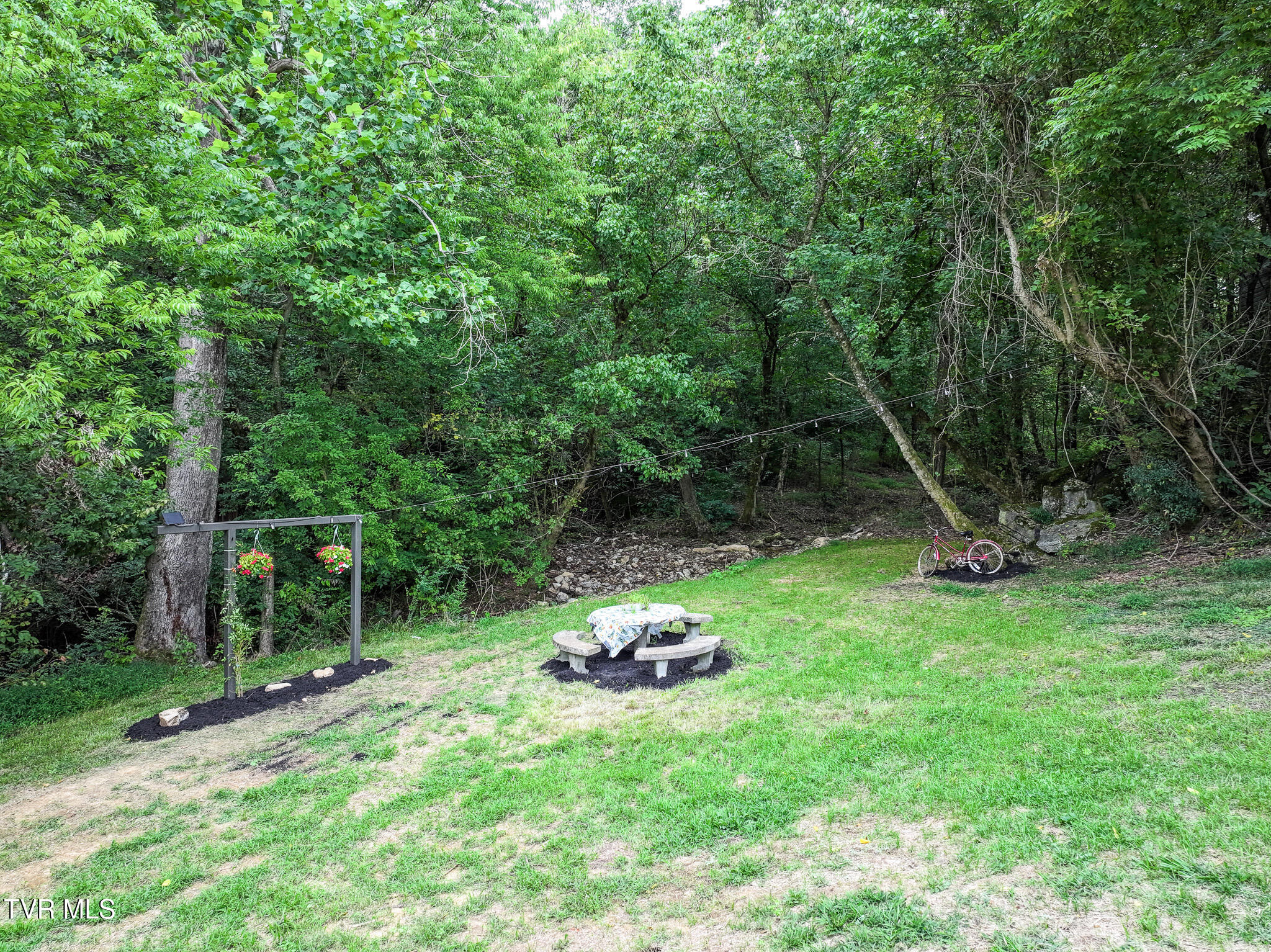 40 Bales Road Mosheim, TN 37818 - Photo 21 of 62 DJI_20250804185231_0423_D