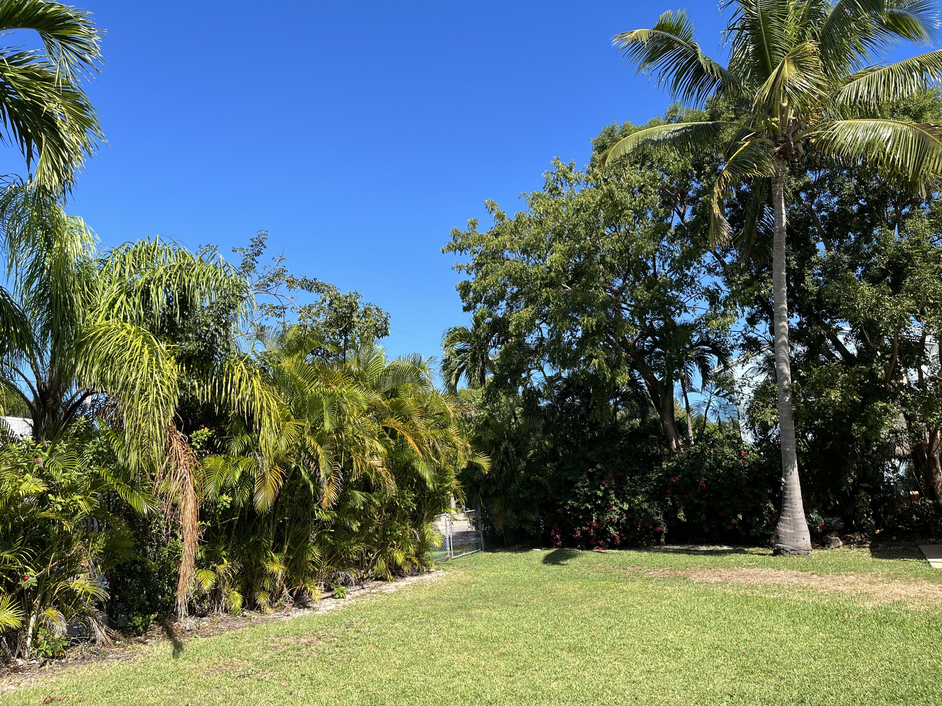 1123 Heron Road Key Largo, FL 33037 - Photo 3 of 3 Side Yard Entrance