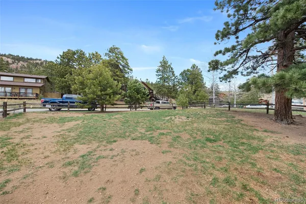 a view of a tree in a yard