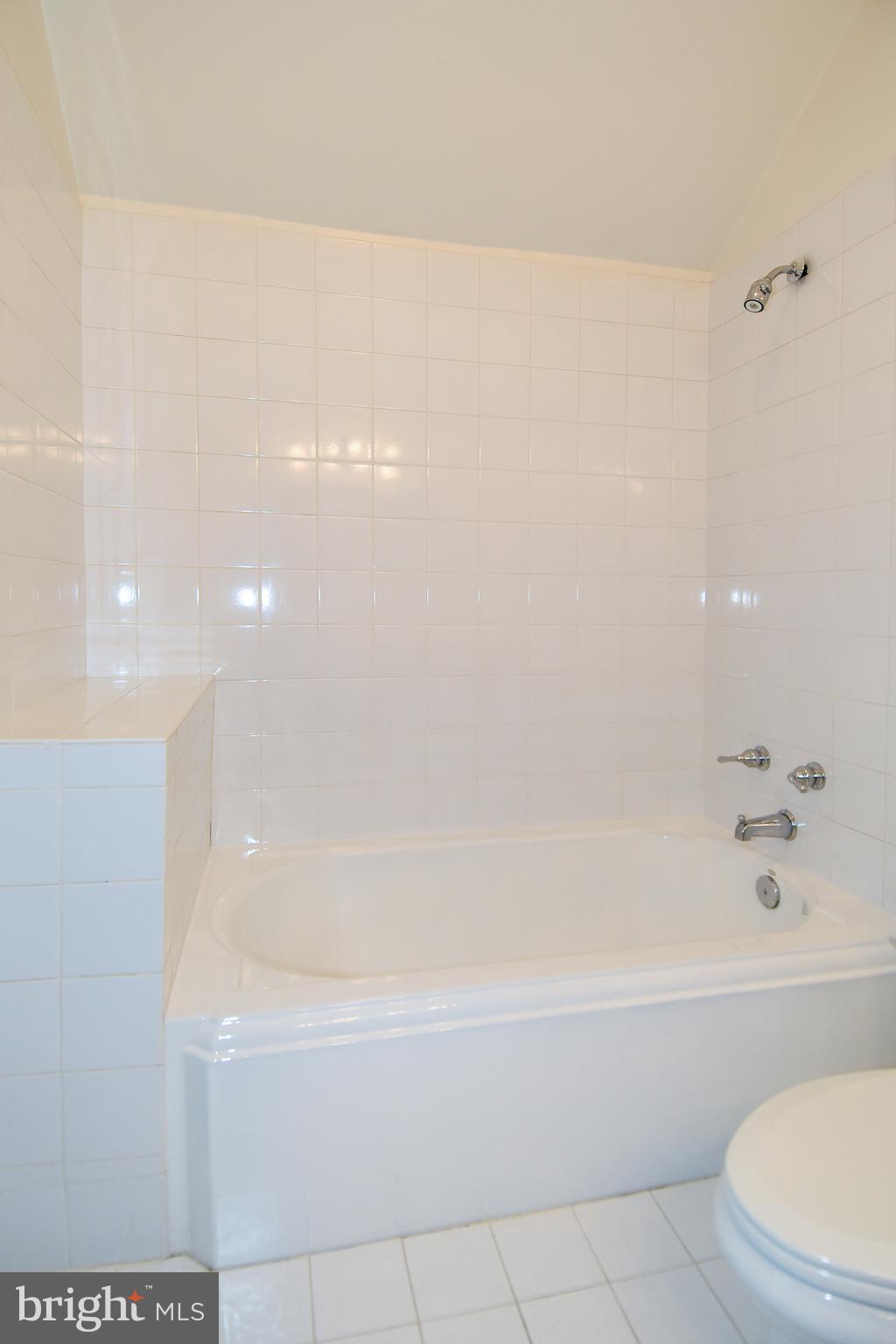 15804 Laughlin Lane Silver Spring, MD 20906 - Photo 50 of 69 2nd Full Bath