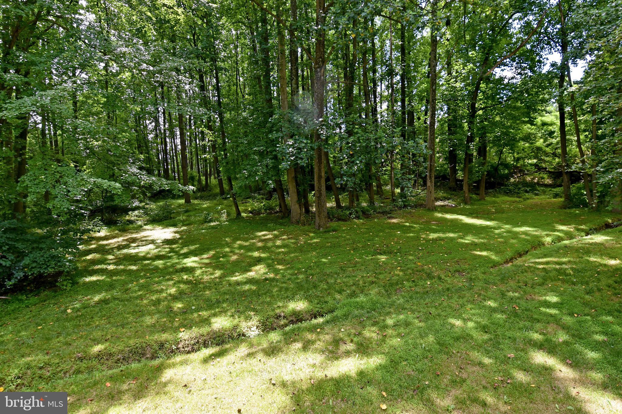 15804 Laughlin Lane Silver Spring, MD 20906 - Photo 68 of 69 Back Yard