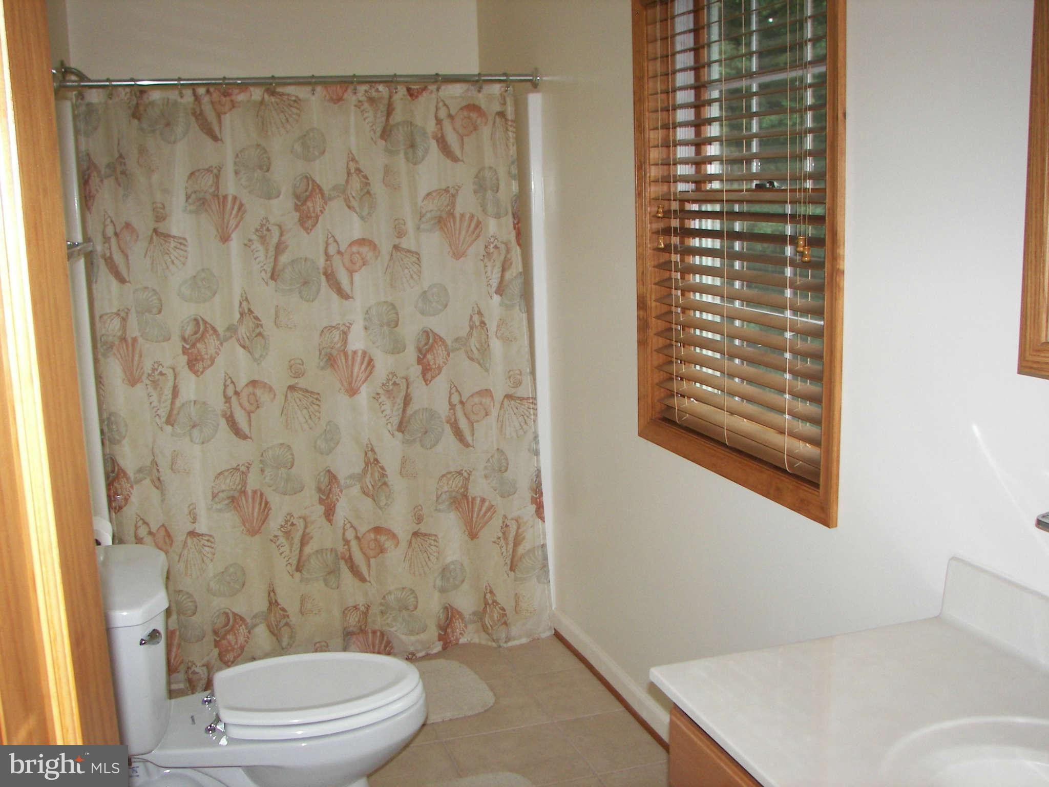1283 Ungers Store Road Berkeley Springs, WV 25411 - Photo 20 of 30 Bath