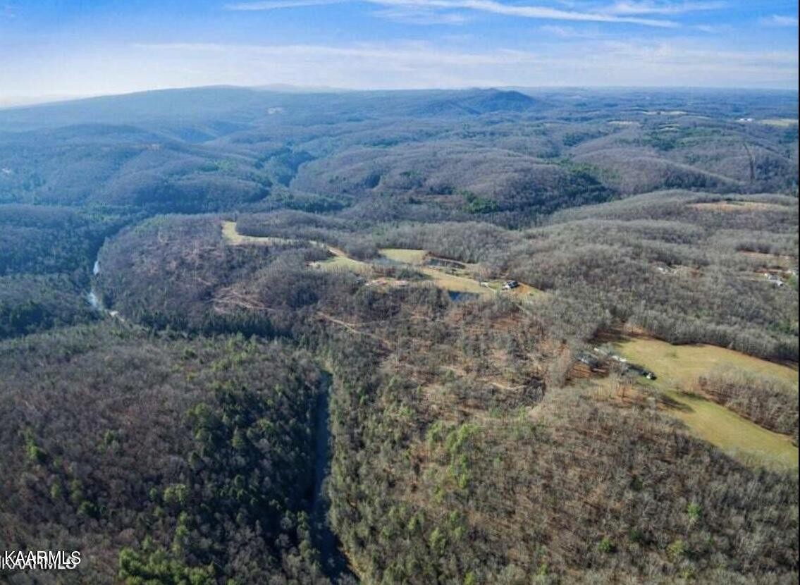 0 Charlie Newberry Road Lancing, TN 37770 - Photo 1 of 6 a view of a dry yard in middle of forest