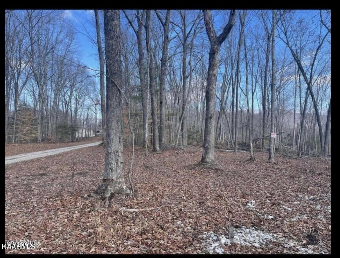 0 Charlie Newberry Road Lancing, TN 37770 - Photo 6 of 6 a backyard of a house with lots of green space