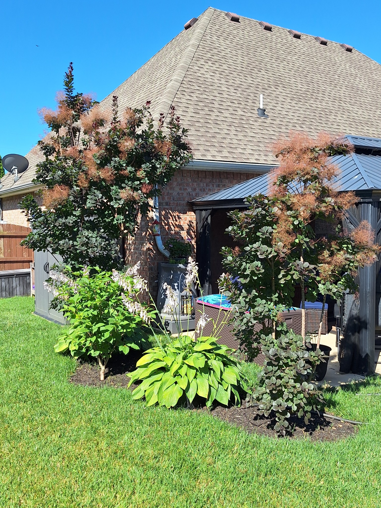 110 Edgewater Falls Murfreesboro, TN 37129 - Photo 31 of 31 a backyard of a house with lots of green space
