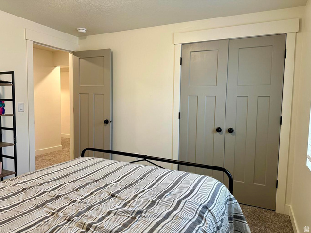 4349 Half Mile Road East Enoch, UT 84721 - Photo 29 of 36 Bedroom with light colored carpet, a closet, and a textured ceiling