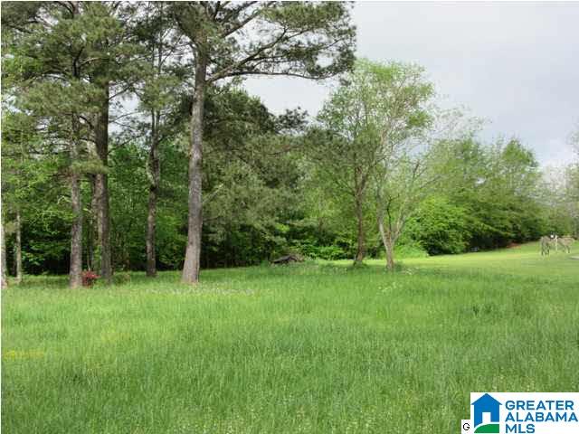 1872 County Road 53 Clanton, AL 35045 - Photo 31 of 31
