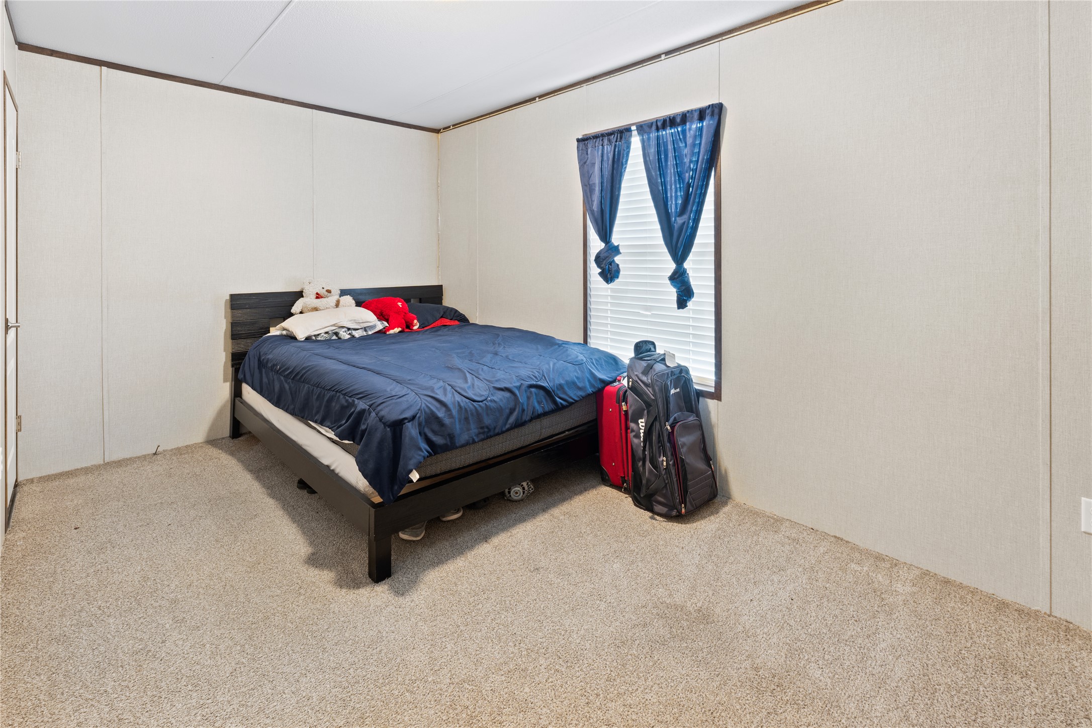 109 Hibiscus Cove Elgin, TX 78621 - Photo 13 of 15 A well-lit bedroom offering a cozy retreat with soft carpet underfoot.