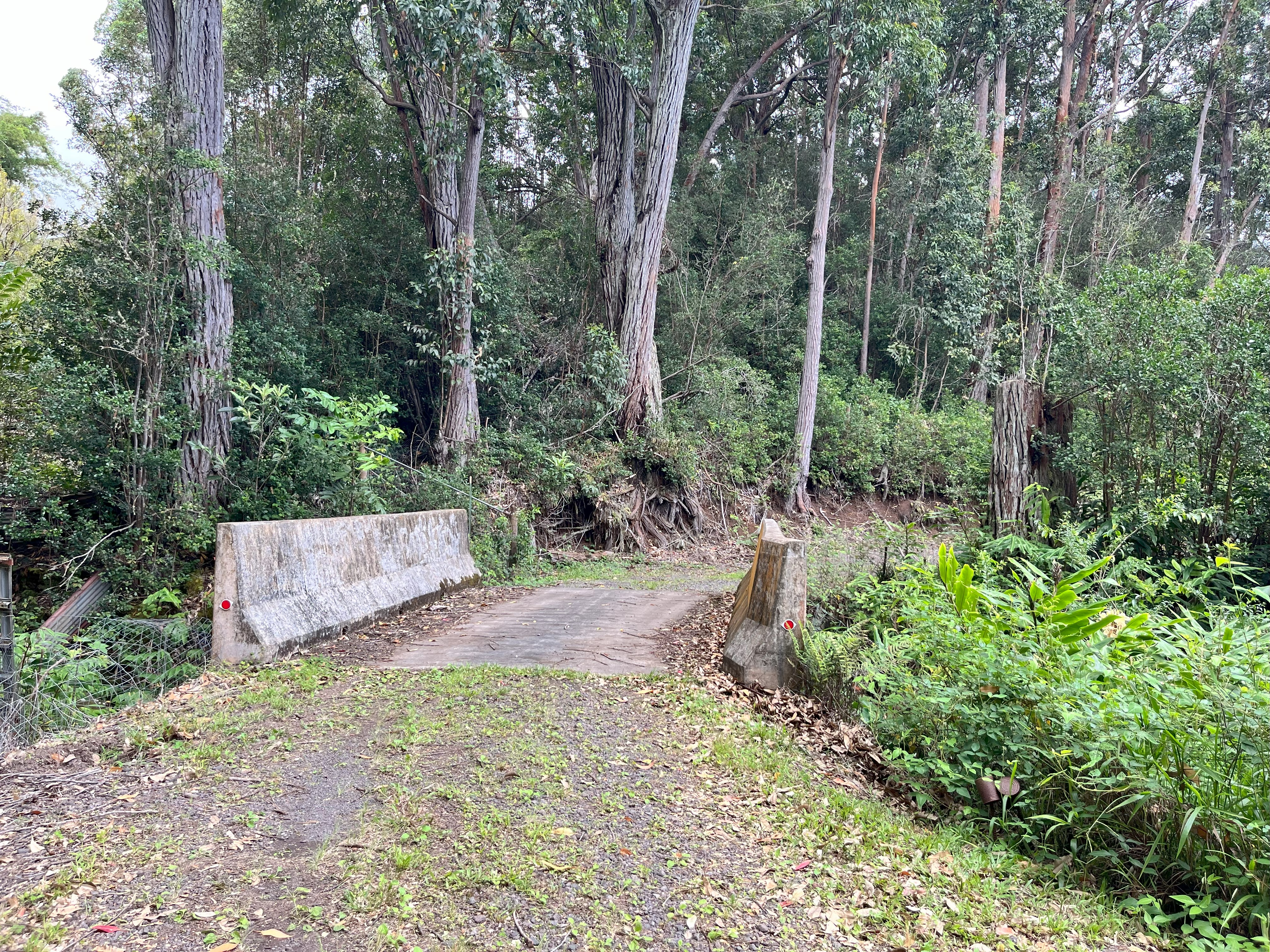 44-3342 Kula Kahiko Road Paauilo, HI 96776 - Photo 15 of 30 a view of a yard with plants and large trees