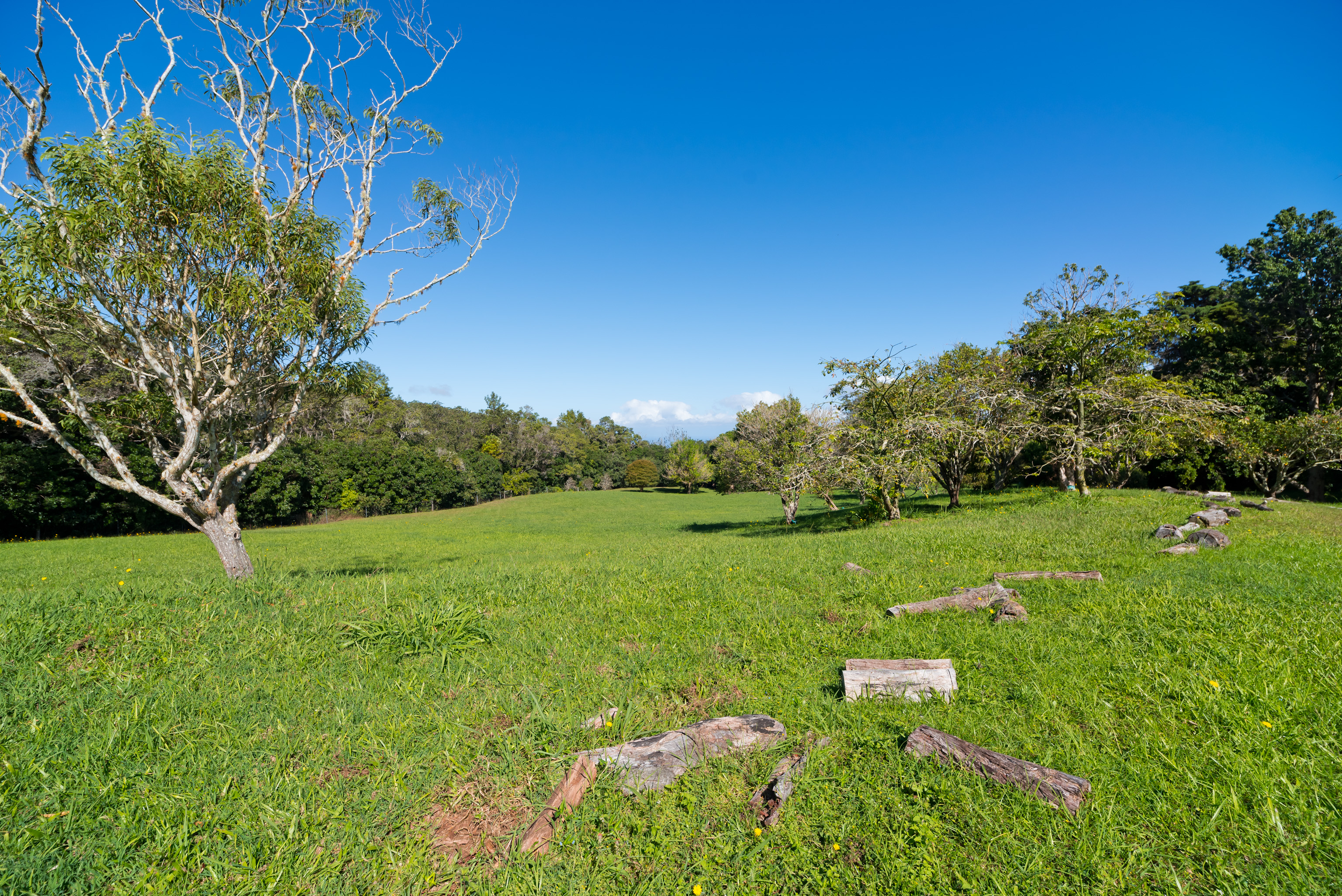 44-3342 Kula Kahiko Road Paauilo, HI 96776 - Photo 26 of 30 a view of an outdoor space and yard