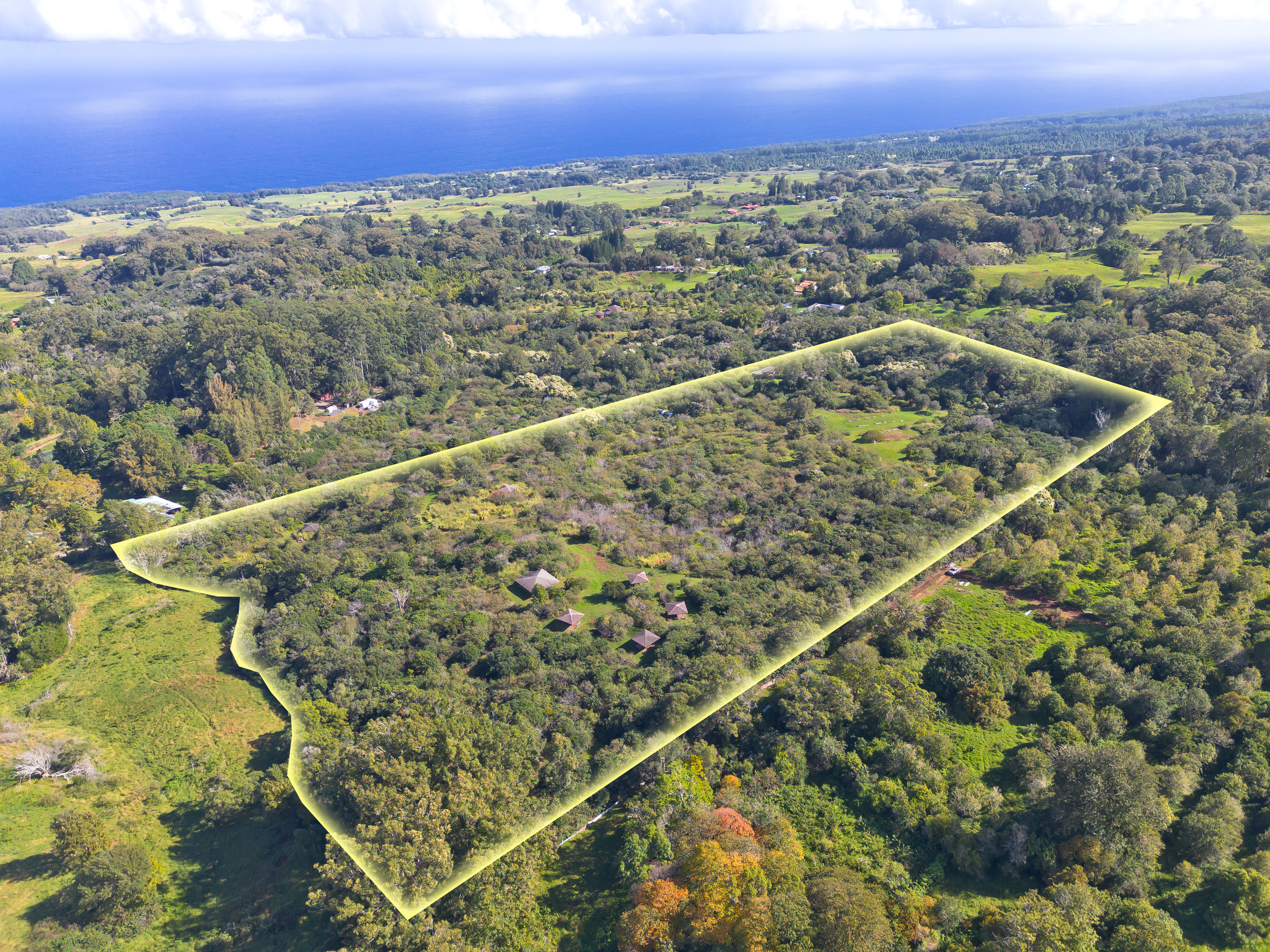 44-3342 Kula Kahiko Road Paauilo, HI 96776 - Photo 3 of 30 a view of a city