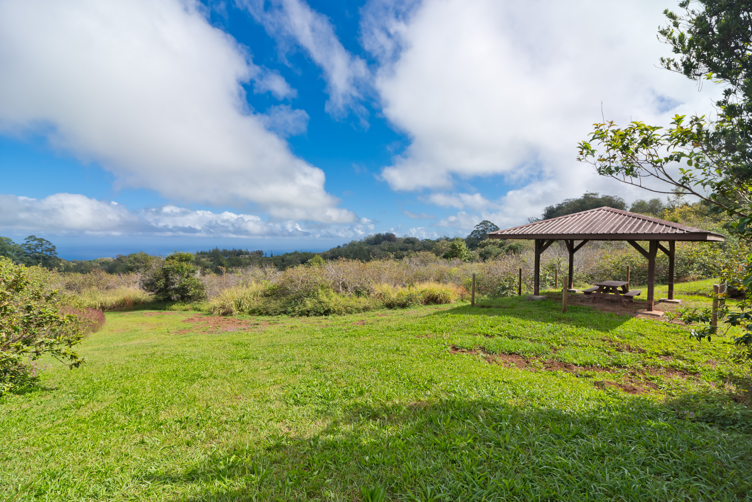 44-3342 Kula Kahiko Road Paauilo, HI 96776 - Photo 5 of 30 a view of a garden with an outdoor seating