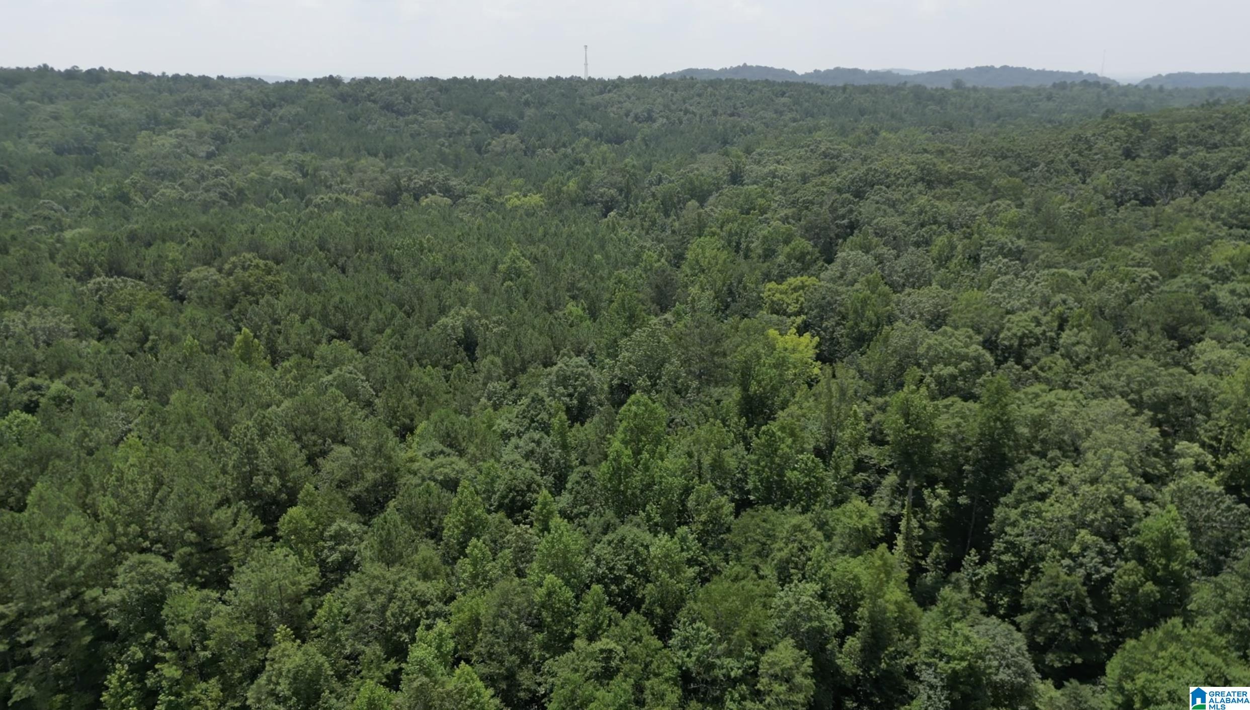9600 Highway 77, Unit 1 Ohatchee, AL 36271 - Photo 18 of 18