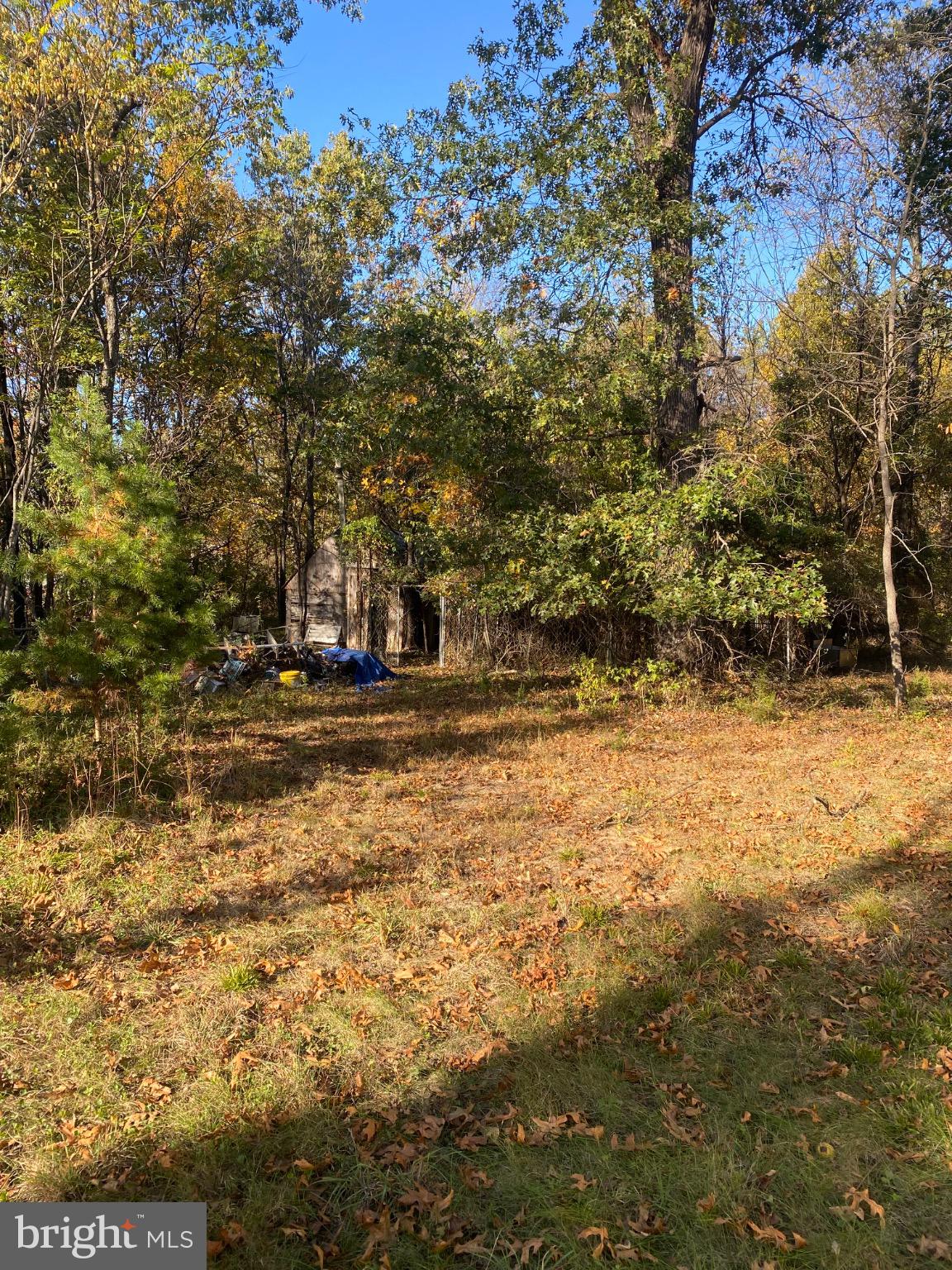 155 Budding Dogwood Road Bunker Hill, WV 25413 - Photo 11 of 20 a view of outdoor space with yard