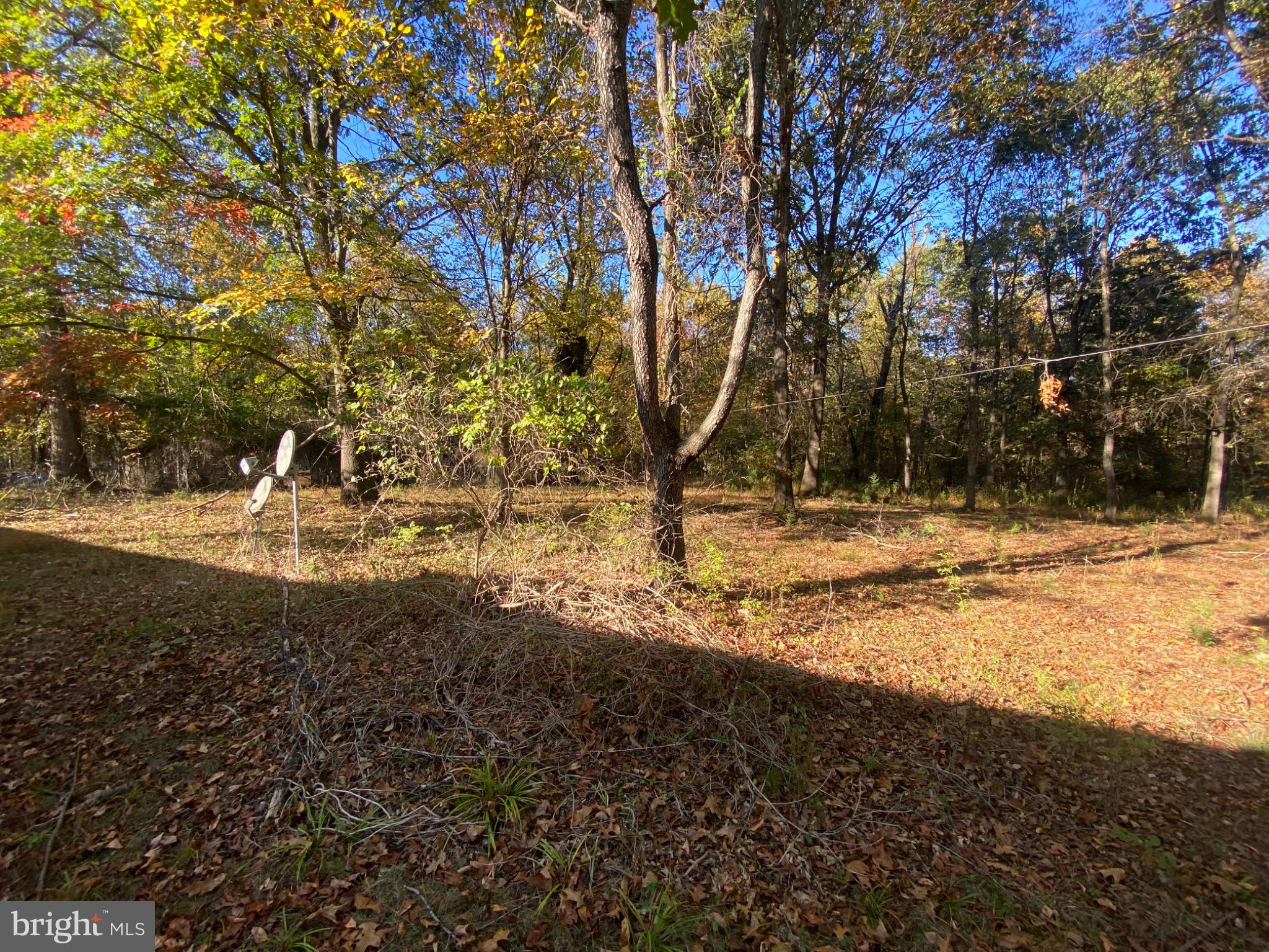 155 Budding Dogwood Road Bunker Hill, WV 25413 - Photo 12 of 20 a view of outdoor space with trees