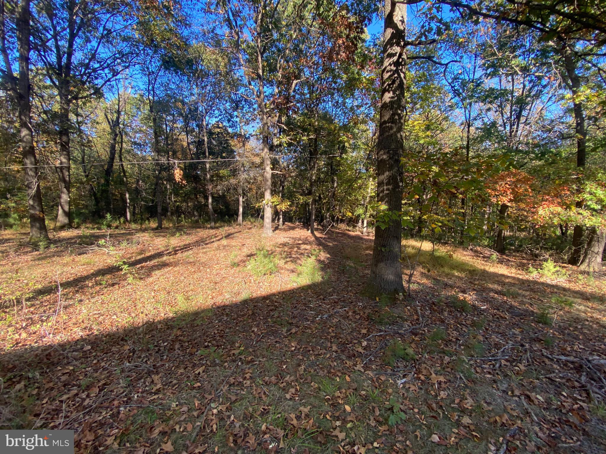 155 Budding Dogwood Road Bunker Hill, WV 25413 - Photo 14 of 20 a view of empty space with trees