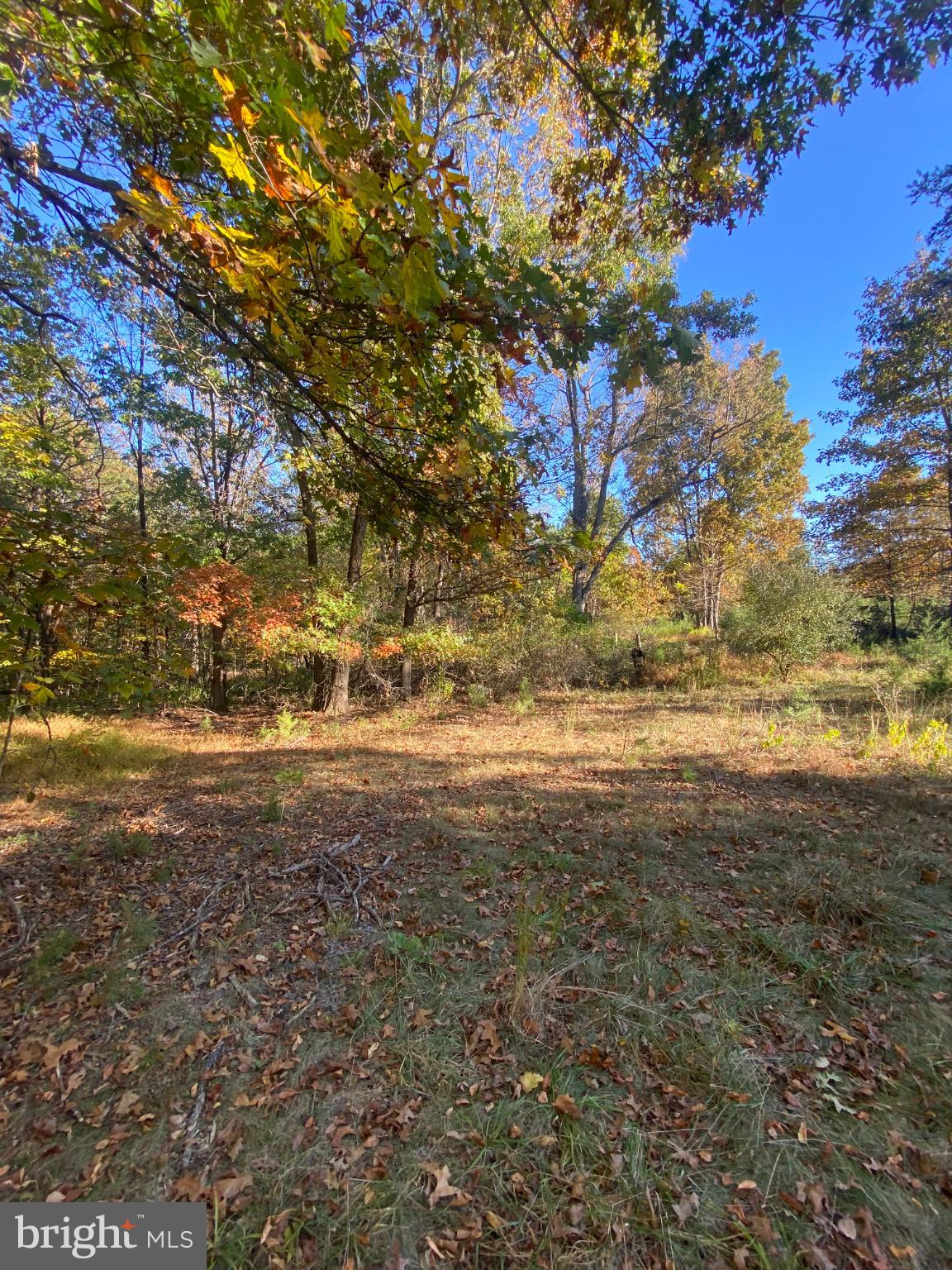 155 Budding Dogwood Road Bunker Hill, WV 25413 - Photo 15 of 20