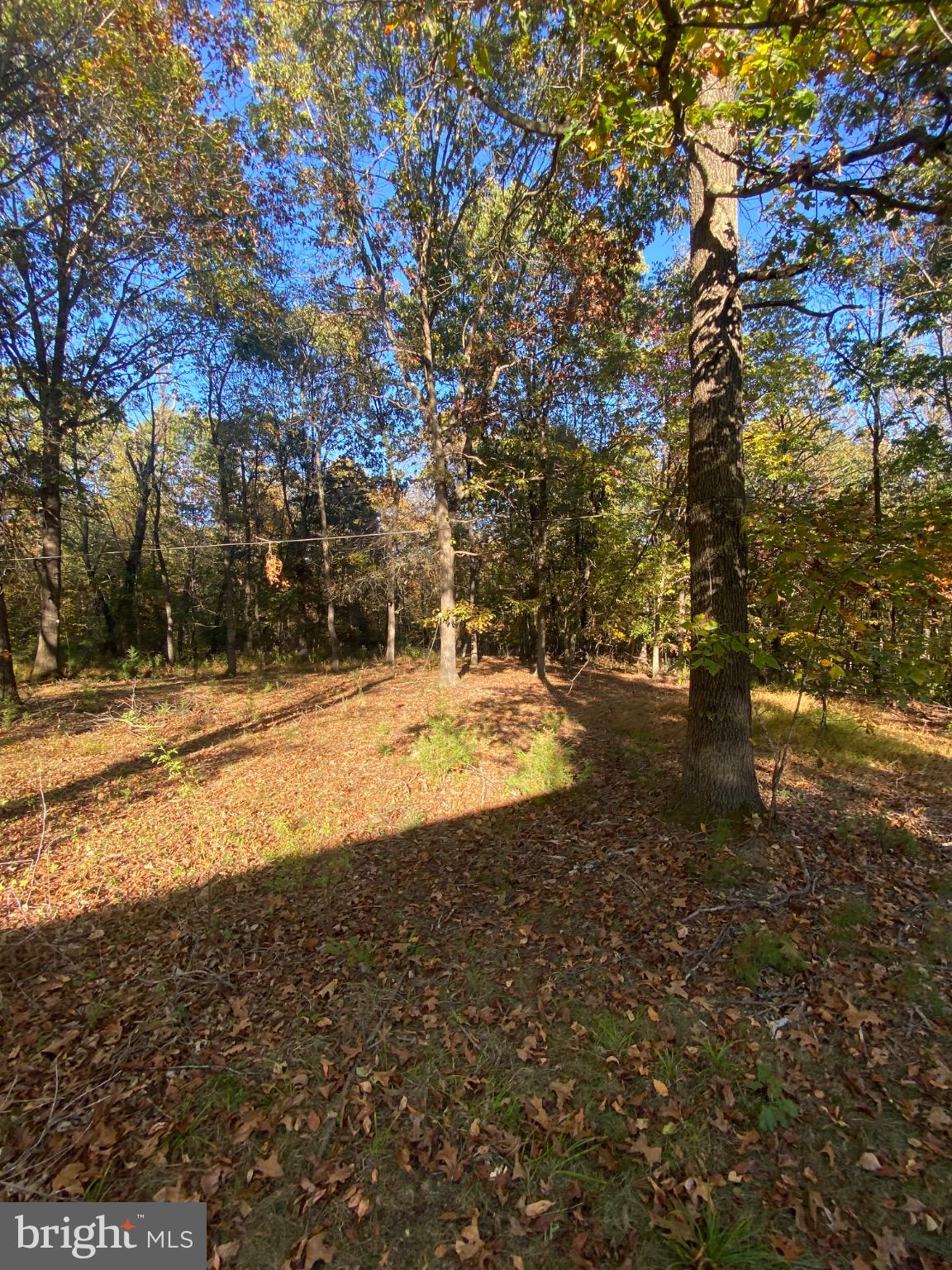 155 Budding Dogwood Road Bunker Hill, WV 25413 - Photo 16 of 20