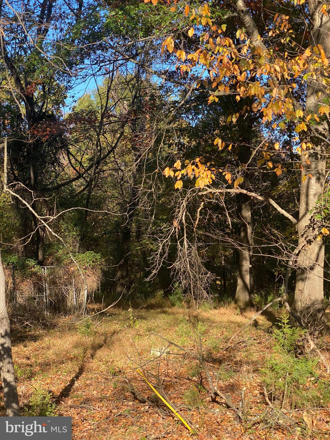 155 Budding Dogwood Road Bunker Hill, WV 25413 - Photo 17 of 20 a view of a yard