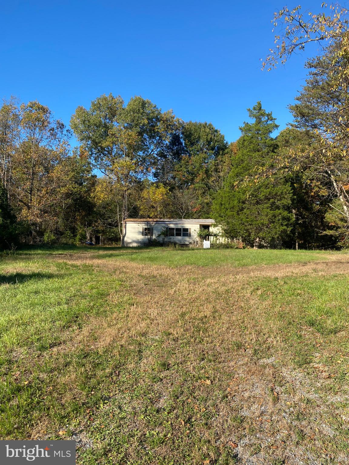 155 Budding Dogwood Road Bunker Hill, WV 25413 - Photo 4 of 20 a view of outdoor space with deck area and trees all around