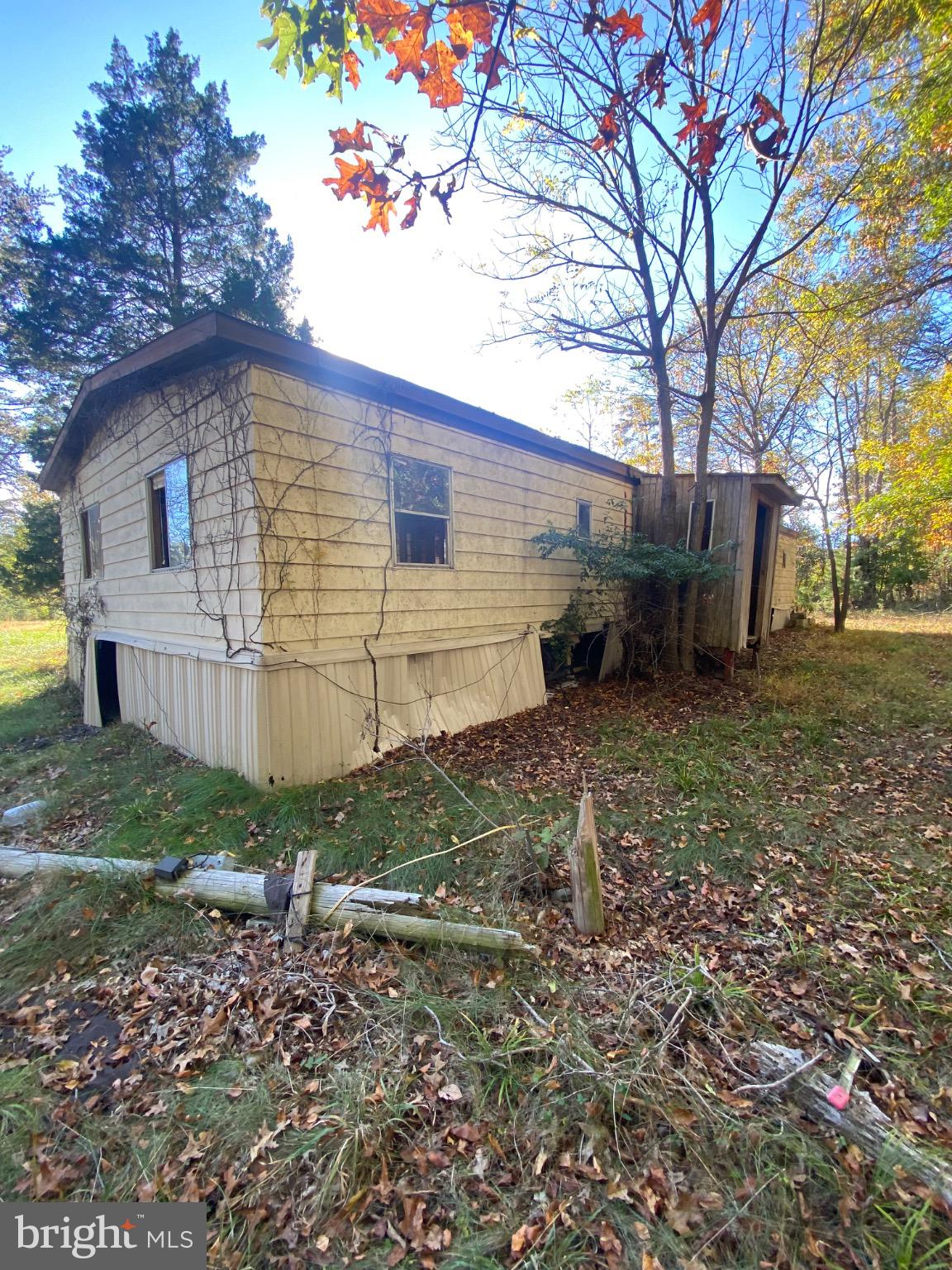 155 Budding Dogwood Road Bunker Hill, WV 25413 - Photo 6 of 20 a view of a backyard with a large tree
